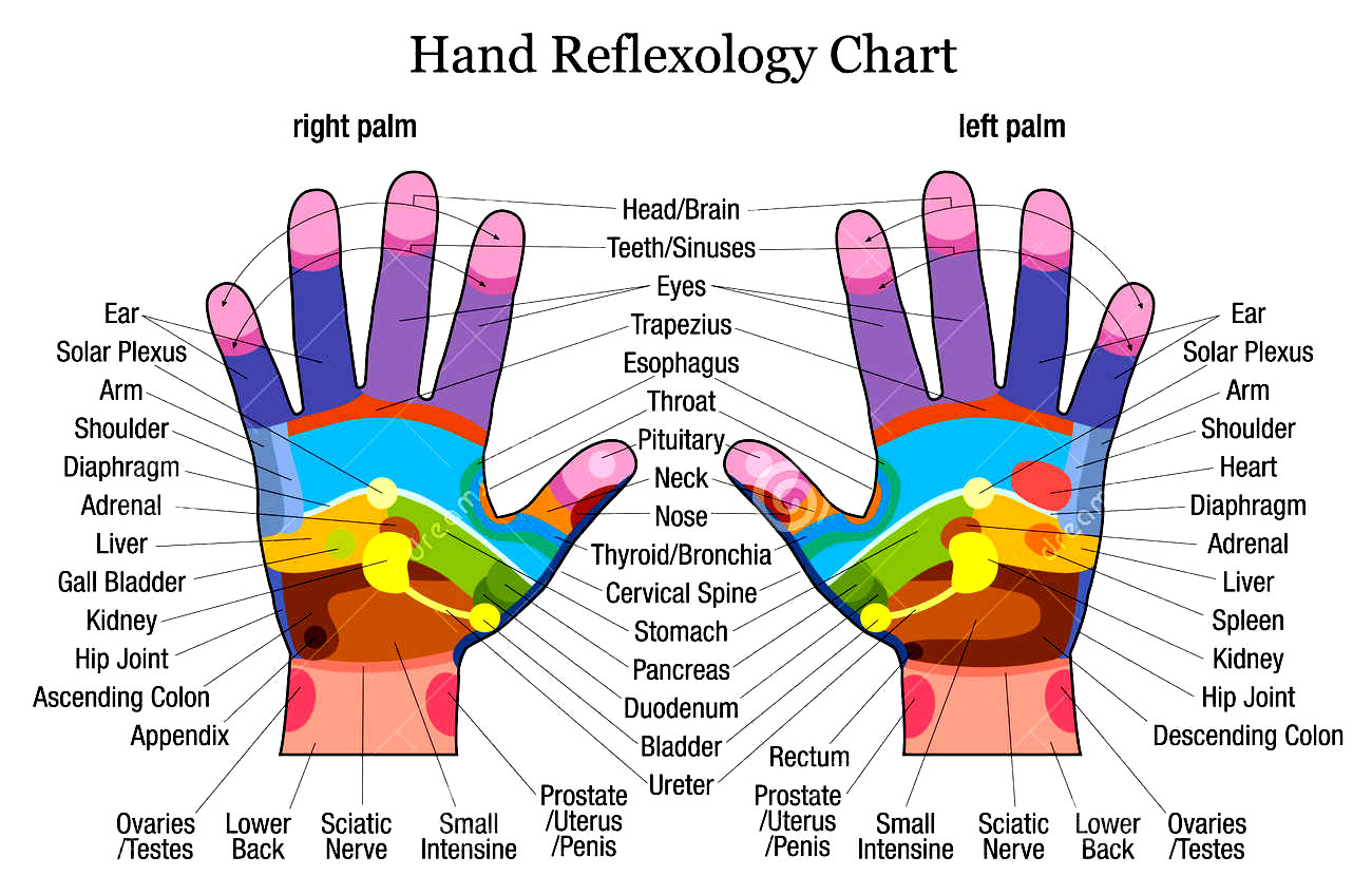 Hand reflexology chart