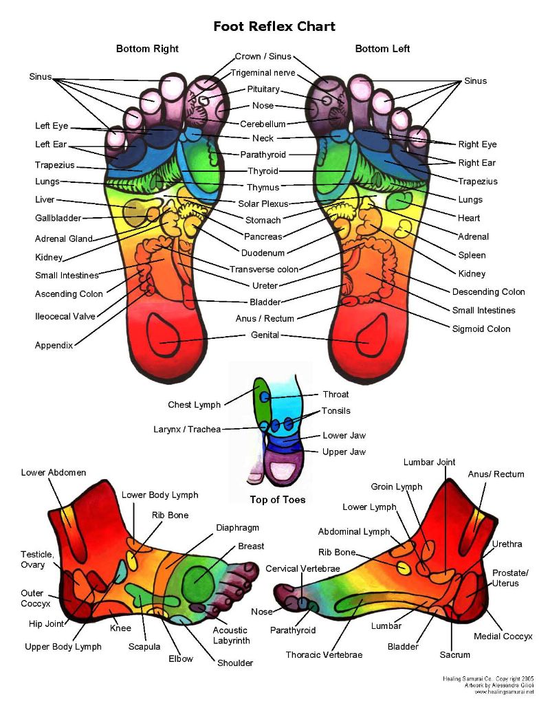 Reflexology Foot Chart with side and back references